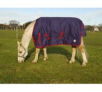 Rhinegold Dottie Torrent Outdoor Rug-Lightweight No Fill