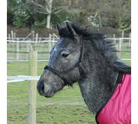 Rhinegold Field Safe Foal Headcollar-Black