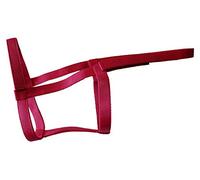 Rhinegold Field Safe Headcollar-Pony-Raspberry