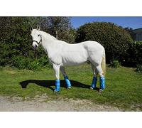 Rhinegold Half Length Horse Travel Boots, Set of 4, Black, Brown, Turq Full, Turquoise