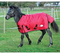 Rhinegold Konig 200g 600D Pony/Foal Outdoor Turnout Rug in Red 4.0, Red