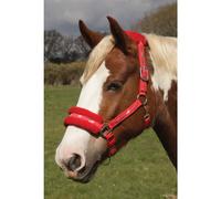 Rhinegold Logo Headcollar fleece trim - shetland - red