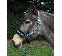 Rhinegold Love My Pony Headcollar & Rope Set
