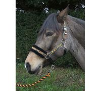 Rhinegold Love My Pony Headcollar & Rope Set