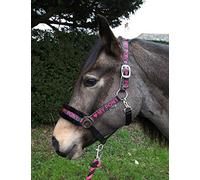 Rhinegold Love My Pony Headcollar & Rope Set, Raspberry