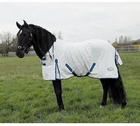 Rhinegold Maui Check Sumer Sheet-6/3