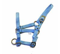 Rhinegold Nylon Foal Headcollar - Baby blue
