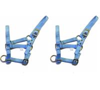 Rhinegold Nylon Foal Headcollar - Baby blue (Pack of 2)