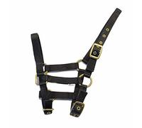 Rhinegold Nylon Foal Headcollar - Black