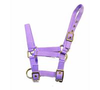 Rhinegold Nylon Foal Headcollar - Lilac