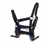 Rhinegold Nylon Foal Headcollar - Navy