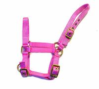 Rhinegold Nylon Foal Headcollar - Pink