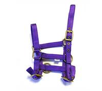 Rhinegold Nylon Foal Headcollar - Purple