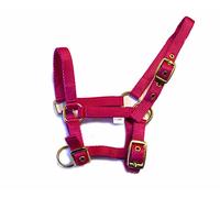 Rhinegold Nylon Foal Headcollar - Raspberry