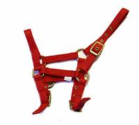 Rhinegold Nylon Foal Headcollar - Red