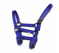 Rhinegold Nylon Foal Headcollar - Royal Blue