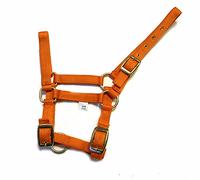 Rhinegold Nylon Foal Headcollar - Tangerine