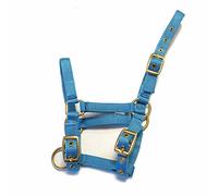Rhinegold Nylon Foal Headcollar - Turquoise