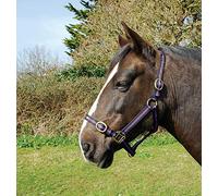 Rhinegold Nylon Headcollar - Cob - Black/Purple