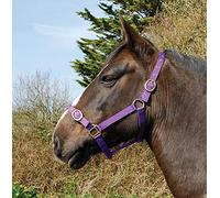 Rhinegold Nylon Headcollar - Cob - Purple