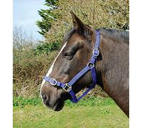 Rhinegold Nylon Headcollar - Cob - Royal Blue