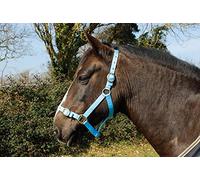 Rhinegold Nylon Headcollar - Full - Baby Blue