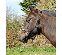 Rhinegold Nylon Headcollar - Full - Black