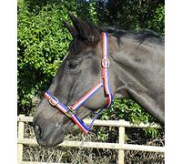 Rhinegold Nylon Headcollar - Full - Red/White/Blue