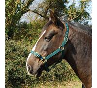 Rhinegold Nylon Headcollar - Pony - Green