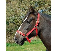 Rhinegold Nylon Headcollar - Pony - Red