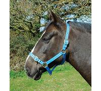 Rhinegold Nylon Headcollar - Pony - Turquoise