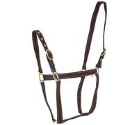 Rhinegold Nylon Headcollar - Shetland - Black/Red