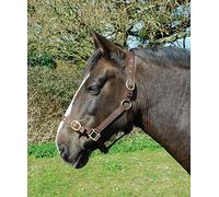 Rhinegold Nylon Headcollar - Shetland - Brown
