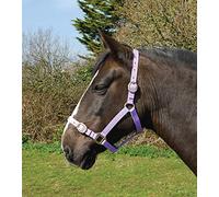 Rhinegold Nylon Headcollar - Shetland - Lilac