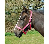 Rhinegold Nylon Headcollar - Shetland - Raspberry
