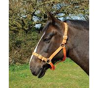 Rhinegold Nylon Headcollar - Shetland - Tangerine