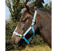 Rhinegold Nylon Headcollar -X Full - Baby Blue