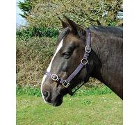 Rhinegold Nylon Headcollar - X Full - Plum