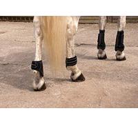 Rhinegold Patent/Crystal Tendon & Fetlock Boot Set-Cob-Black