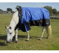 Rhinegold Phoenix Outdoor Rug - 6/6 - Royal