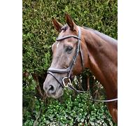 Rhinegold Pro-Anatomic Flash Bridle, Black