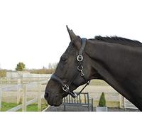 Rhinegold Softee Pro-Anatomic Headcollar