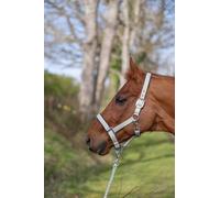 Rhinegold Sorbet Padded Headcollar&Rope-Full-Pistachio Green