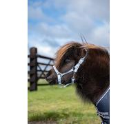 Rhinegold Sorbet Padded Headcollar&Rope-Mini Shetland - Blue