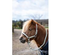 Rhinegold Sorbet Padded Headcollar&Rope-Mini Shetland-Green