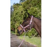 Rhinegold Sorbet Padded Headcollar&Rope-Pony-Candy Floss Pin