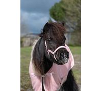 Rhinegold Sorbet Padded Headcollar&Rope-Shet-CandyFloss Pink