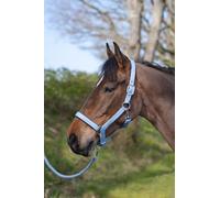Rhinegold Sorbet Padded Headcollar&Rope-XtraFull-Bubblegum Blue