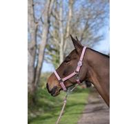 Rhinegold Sorbet Padded Headcollar&Rope-XtraFull-Candy Floss