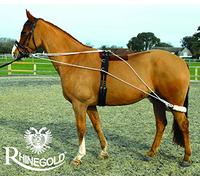 Rhinegold Training System with Roller-Full